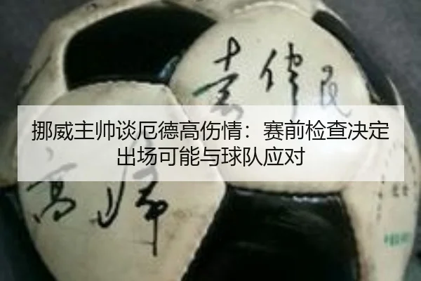 挪威主帅谈厄德高伤情:赛前检查决定出场可能与球队应对